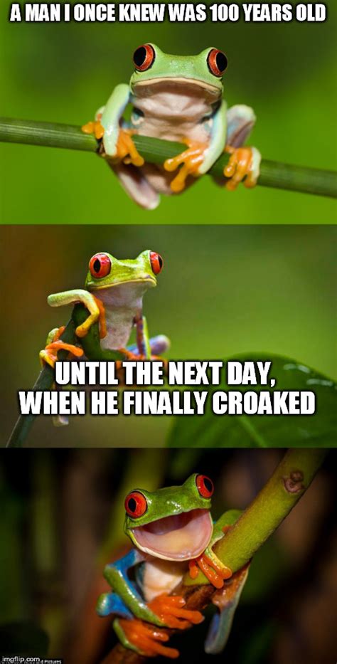 Frog Puns Latest Memes - Imgflip