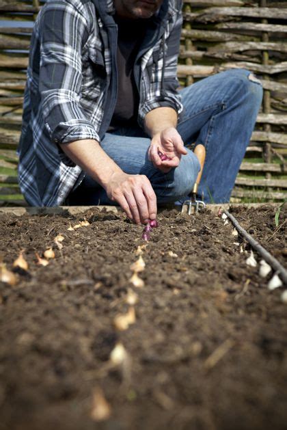 Tuinkalender Maart Wat Te Doen In De Tuin In Maart Artofit