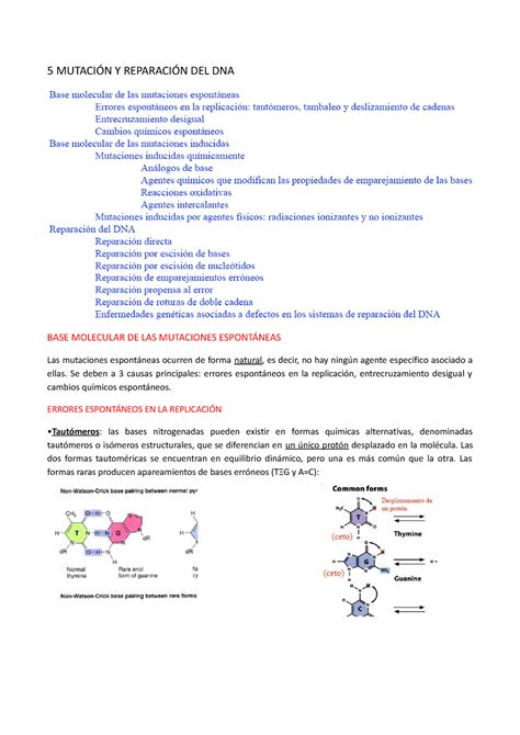 Tema 5 Resumen Xenética molecular 5 MUTACIÓN Y REPARACIÓN DEL DNA