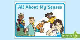 KS1 The Five Senses Taste A4 Display Poster Twinkl