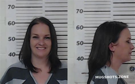 Kinnamon Amy Nicole Henderson County Mugshots Zone