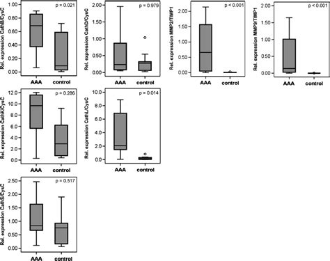 Ratio Of The MRNA Expression Of Cathepsins B D K L And S Against