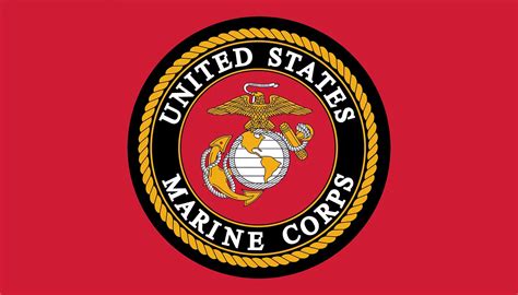 Unveiled Secrets of the United States Marine Corps Logo!