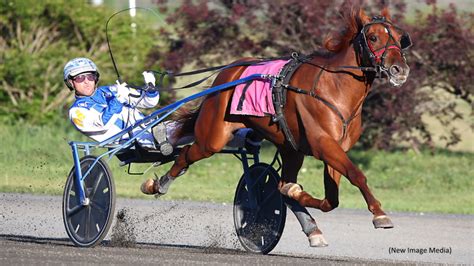 Favourites And Macdonald Dominate In Grassroots Action Standardbred Canada