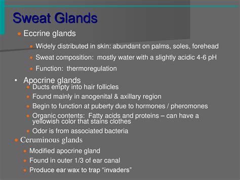 Integumentary System Ppt Download