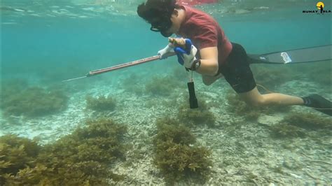 ALTERNATIVE Ito Ang Pinakamadaling Paraan Sa Libreng Ulam Kapag