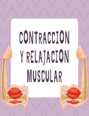 Uvmint Contraccion Y Relajacion Muscular Pdf Contraccion Y