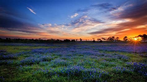 Texas Sunset Wallpapers - Top Free Texas Sunset Backgrounds ...