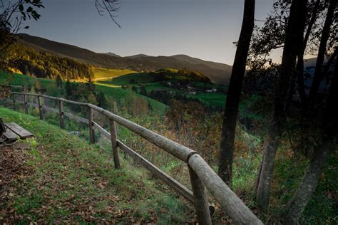 Banco De Imagens Panorama árvore Natureza Floresta Região