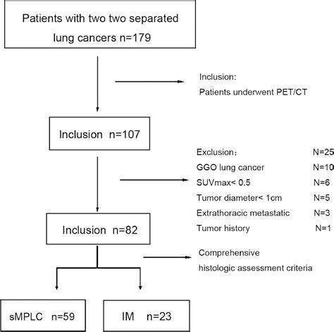 SUVmax Ratio On PET CT May Differentiate Between Lung Metastases And