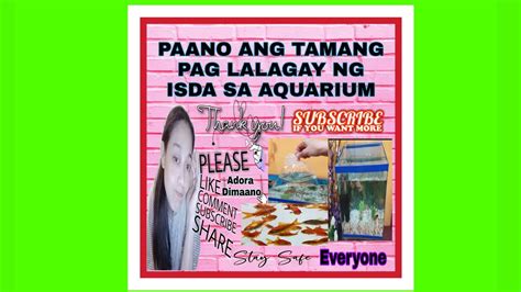 PAANO ANG TAMANG PAG LALAGAY NG ISDA SA AQUARIUM TANK YouTube