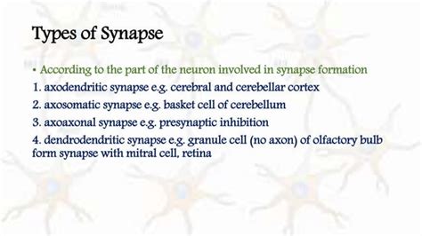 Physiology of Synapse II Synapse types II Functional Elements of Synapse II Nervous System ...