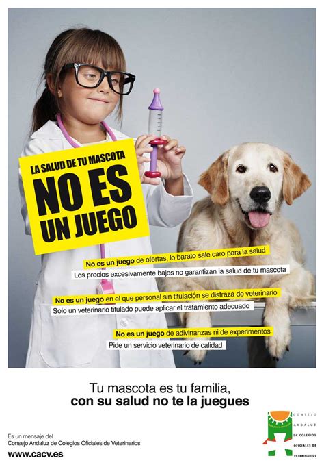 Consejo Andaluz De Colegios Oficiales De Veterinariosla Salud De Tu Mascota No Es Un Juego