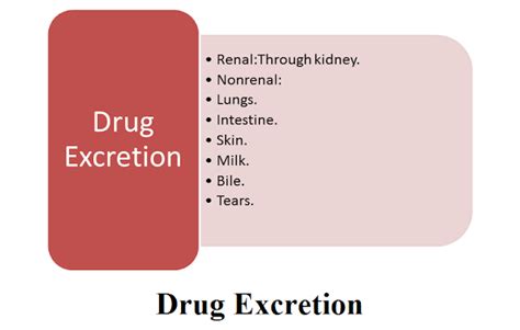 General Pharmacology Excretion Of Drugs