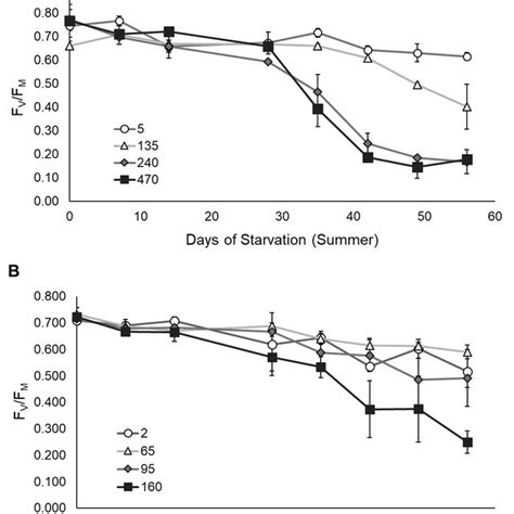 Maximum Quantum Efficiency Of Photosystem Ii Fv Fm Of Starved