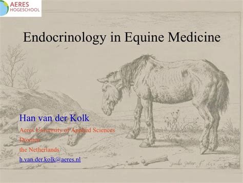 Poziv Na Predavanje Endocrinology In Equine Medicine Veterinarski