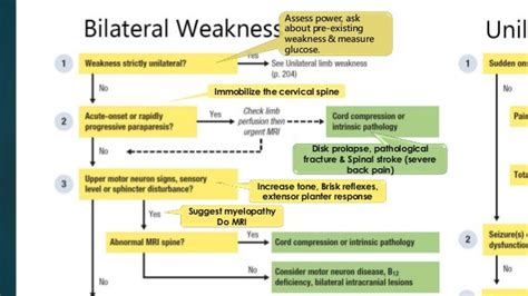 Unilateral And Bilateral Limb Weakness Stroke Approach