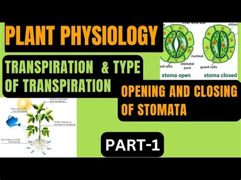 TGT PGT LT GIC PLANT PHYSIOLOGY TRANSPIRATION FUNCTION OPENING