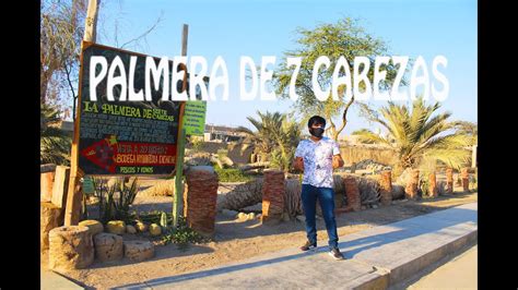 La Leyenda De La Bruja De Cachiche Y La Palmera De Cabezas Ica