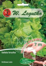 Legutko Sałata Głowiasta Krucha Lodowa Królowa Lata Taśma 7m Ceny i