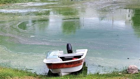 Un satélite mostró cómo se contaminó el lago San Roque El Diario de