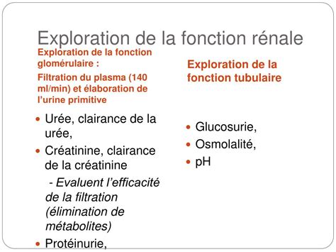 Ppt Exploration De La Fonction R Nale Powerpoint Presentation Free