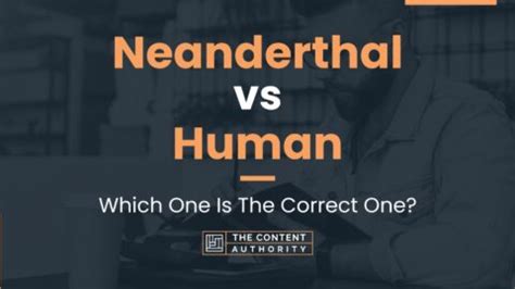 Neanderthal vs Human: Which One Is The Correct One?