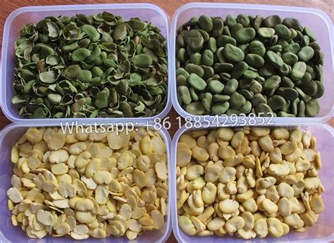 Full Automatic Broad Bean Faba Bean Peeling Machine Qing Dao Jing