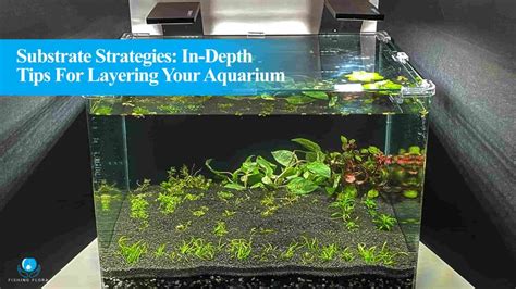 How To Layer Aquarium Substrate? [Step By Step Guide]