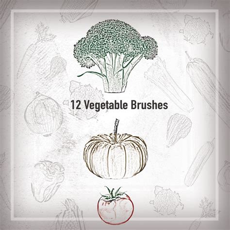 12 Vegetable Brushes Photoshop Brushes