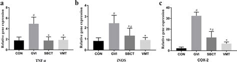 Expression Of Tnf α Inos And Cox 2 Genes In The Vaginal Tissues Of