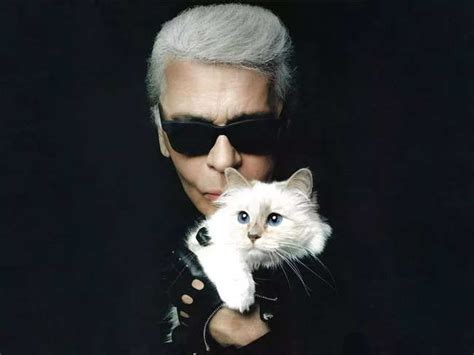 Karl Lagerfeld Cat Karl Lagerfeld S Pet Cat Choupette Reveals Why She