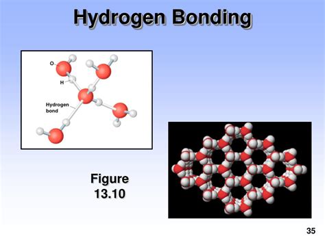 Hydrogen Bonding Forces