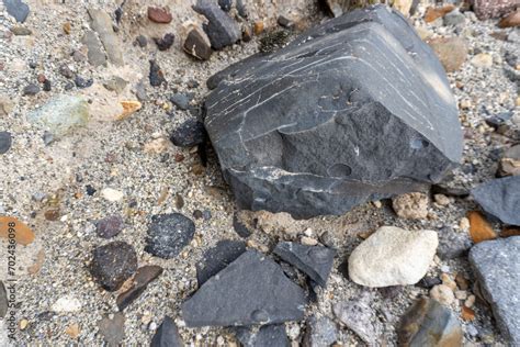 Bivalve Fossils In Valley Of Ten Thousand Smokes Katmai National Park