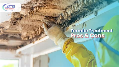 Pros And Cons Of Various Termite Treatment Options