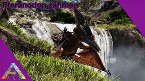 Ark Pteranodon zähmen Anfängerguide YouTube