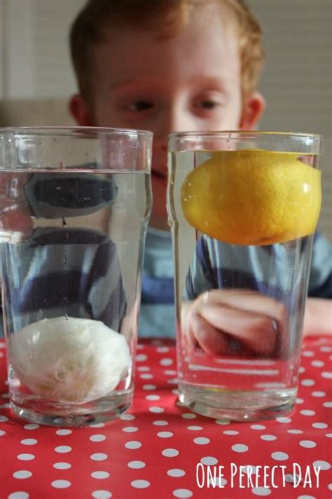 Easy Sink And Float Science Experiment With Lemons Cool Science