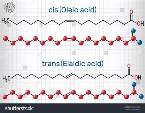 Oleic Acid Cis Elaidic Acid Trans Stock Vector Royalty Free