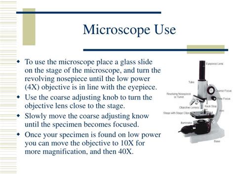 PPT - Microscope Notes PowerPoint Presentation - ID:27346