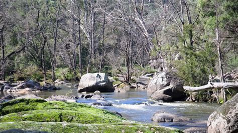 Fsc Warrabah National Park Chris Hobrough Flickr