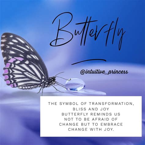 Intuitive Princess on Instagram: “🦋Butterfly is the symbol of ...