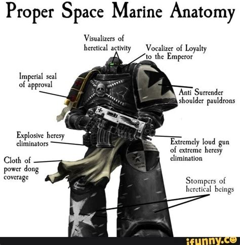 Proper Space Marine Anatomy Visualizcrs of hmm] acuvlly Vocalizcr oí ...