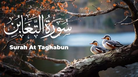 Surah At Taghabun Beautiful Recitation Youtube