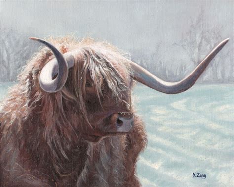 Oil painting-highland bull by YueZeng-MN on DeviantArt