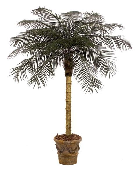 Earthflora Outdoor Tropical Artificial Palm Trees Custom Made 7 Feet Phoenix Palm Tree For