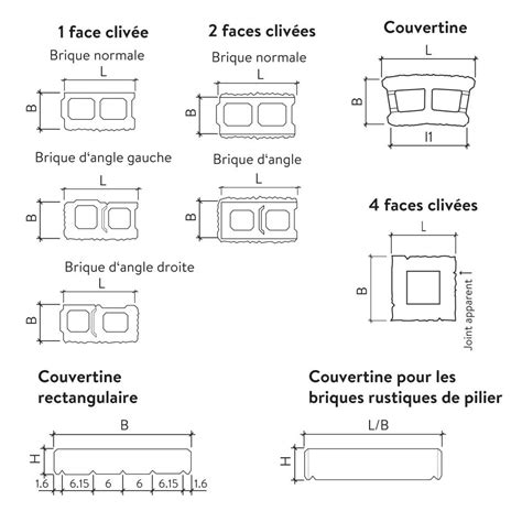 Briques Rustiques Simples Et Doubles