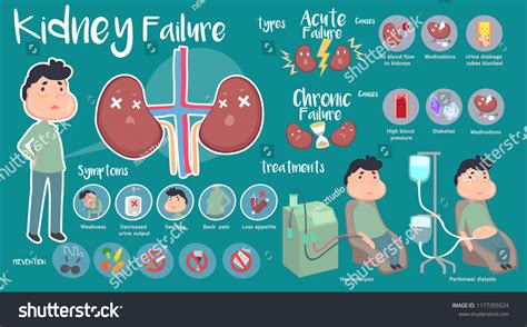 Kidney Disease Treatment Images: Browse 13,515 Stock Photos & Vectors ...