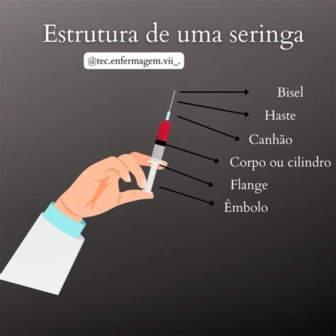 A Estrutura De Uma Seringa Seringa Estruturas Tecnico Em Enfermagem