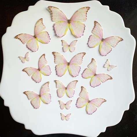 Shimmery Iridescent Pink Edible Pre Cut 3d Wafer Paper Butterflies14