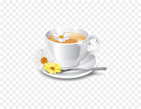 Xícara De Café Floração De Chá Chá De Crisântemo png transparente grátis